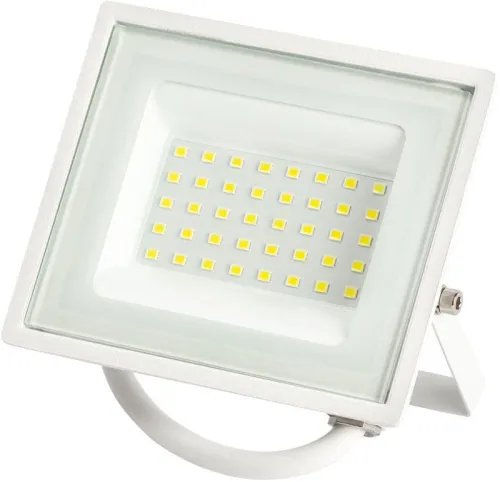 Прожектор светодиодный LPR-023-W-65K-030 30Вт 6500К 2400Лм IP65 уличный бел. ЭРА Б0054641