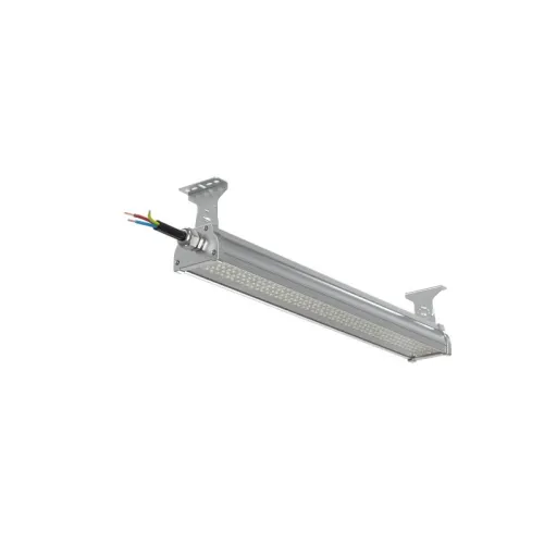 Светильник светодиодный ДСП WP 24 C 60W VW 840 L600 EL SI CL 680х100х85мм 60Вт 4000К IP66 пылевлагозащ. Русский Свет 27072423960