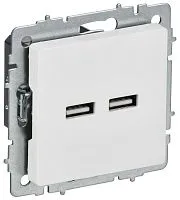 Розетка BRITE РЮ10-1-БрАБ USB A+A 3.1А механизм арктич. бел. IEK BR-U21-D31-K91