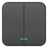 Выключатель 2-кл. ОП Blanca 10А IP20 (сх. 5) 250В с подсветкой с изолир. пластиной антрацит SE BLNVA105116