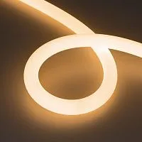 Лента светодиодная MOONLIGHT-TOP-FP-X1088-D25mm 24V Warm 2700К 20Вт/м IP65 wire x1 прямой вывод кабеля герметичная (уп.5м) Arlight 038864