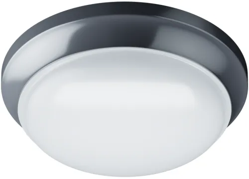 Светильник светодиодный 98 087 ДПБ-01-ПП-18-GR-4К-IP65-А1 Innolux 98087