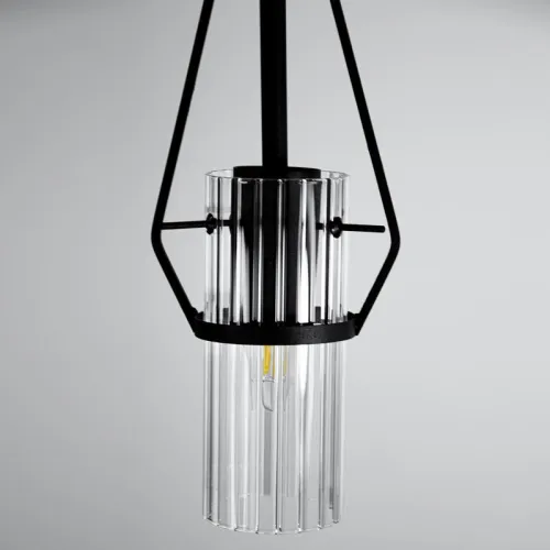 Светильник "Вираж" 211 (плафон 0016) НСБ 01-60-189 Е27 [ИМ] подвесной черн. Элетех 1005405276 фото 2