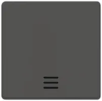 Клавиша 1-кл. с окном черн. метал. SIEMENS 5TG6220