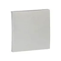 Панель лицевая Валенсия для кнопки звонка 10А сталь PROxima EKF ESV10-L-026-30