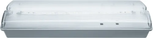 Светильник светодиодный 61 496 NEF-07 3Вт 150лм 176-264В IP65 акк. Ni-Cd 1000мА.ч 180 мин. аварийно-эвакуационный Navigator 61496
