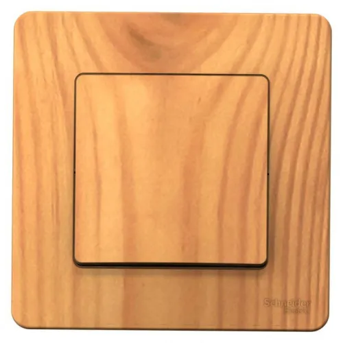 Выключатель 1-кл. СП Blanca 10А IP20 (сх. 1) 250В ясень SE BLNVS010105 фото 3