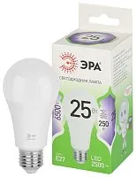 Лампа светодиодная GREEN LINE A60-25W-865-E27 GL 25Вт груша 6500К свет холод. E27 Эра Б0067111