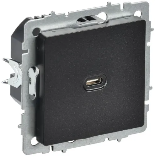 Розетка СП BRITE USB C 65Вт высокоскор. заряд. РЮ12-1-БрЧ черн. IEK BR-U13-065-K02