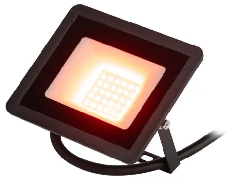 Прожектор светодиодный уличный LPR-025-RED-030 30Вт красн. свечение 600лм IP65 Эра Б0064721