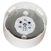 Светильник ДББ "Спецсвет" 03-007-401 (316) LED 7Вт 5000К IP20 настенный/без стекла/корпус прямой АС220В (групп.упак.) Элетех 1030450316
