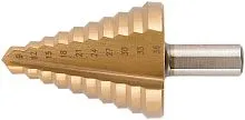 36404