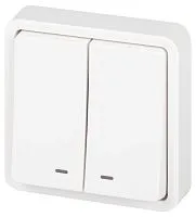 Выключатель Эксперт 11-1525-01 двойн. с подсветкой IP55 10АХ-250В СУ бел. Эра Б0063304