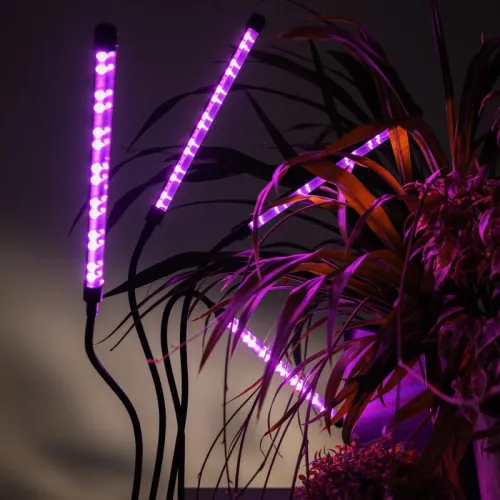 Светильник светодиодный «КРИСТАЛЛ» CTL2-USB-bl Agro для растений спектр 4 плафона по 10Вт на прищепке пульт на шнуре IP40 красн./син. ФАZА 5068810 фото 13