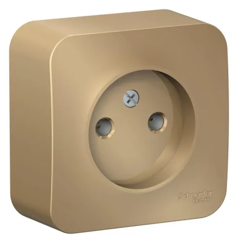 Розетка 1-м ОП Blanca 16А IP20 250В без заземл. без защ. шторок титан SE BLNRA000104 фото 2