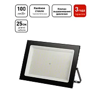 Прожектор светодиодный PRO LPR-062-0-65K-300 300Вт IP65 6500К призма Эра Б0065943