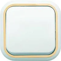 Выключатель 1-кл. ОП Валентина 10А IP20 А16-038 бел./зол. Кунцево 7631