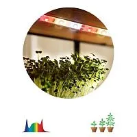 Лента светодиодная FITO-Strip Light-Rа90-3m 3м для растений полноспектральная IP65 Эра Б0059881