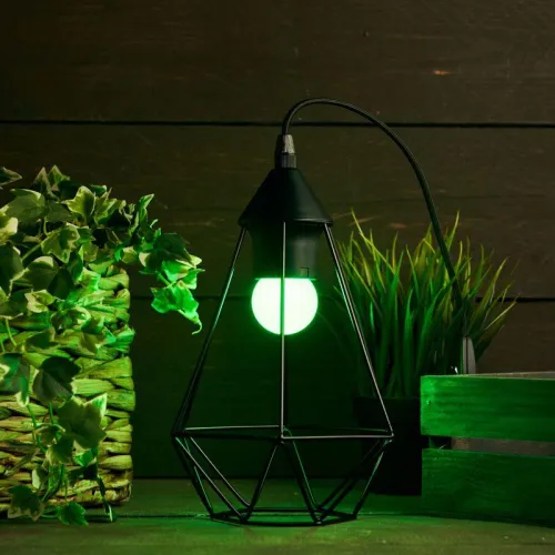 Лампа светодиодная 1Вт шар d45 5LED зел. E27 Neon-Night 405-114 фото 3