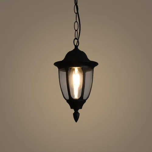 Светильник Frak 1х13Вт E27 IP44 подвесной Voltega VGL7305PL-01B фото 11