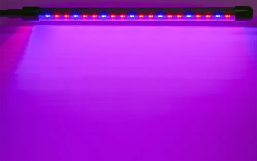 Светильник светодиодный 95 585 NDF-FITO-C01-02-20W-BL 20Вт IP40 на прищепке с таймером для растений красн./син. спектра Navigator 95585 фото 3