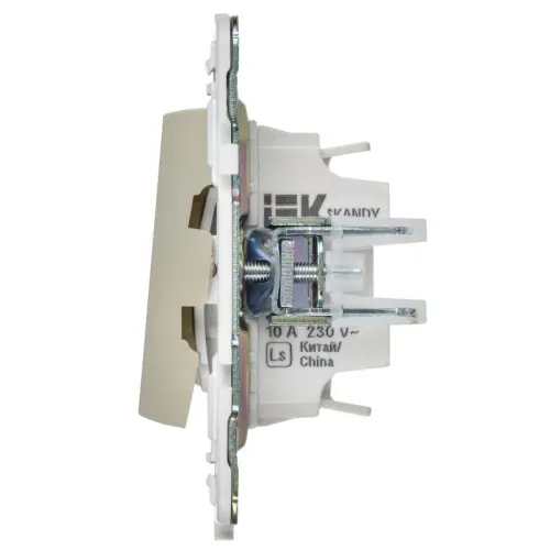 Выключатель 2-кл. SKANDY 10А SK-V16B для отелей с индикацией беж. IEK SK-V20-2-10-K10 фото 4