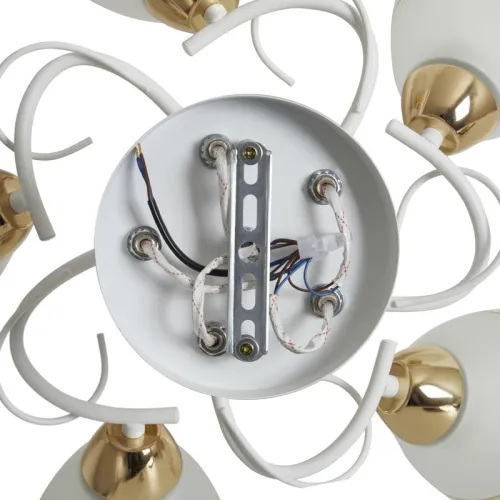 Светильник Entle 200Вт E27х5 IP20 потолочн. Freya FR5465CL-05W фото 6