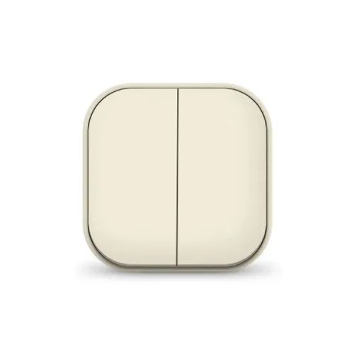 Выключатель 2-кл. 1п ОП 10А IP20 сл. кость IONICH 1425