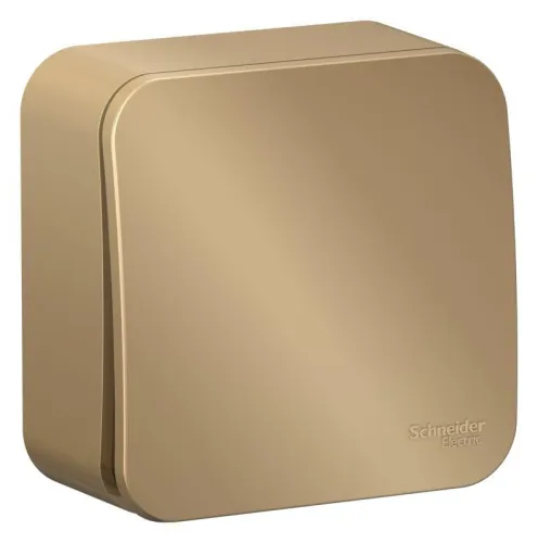 Выключатель 1-кл. ОП Blanca 10А IP20 (сх. 1) 250В с изолир. пластиной титан SE BLNVA101014 фото 3