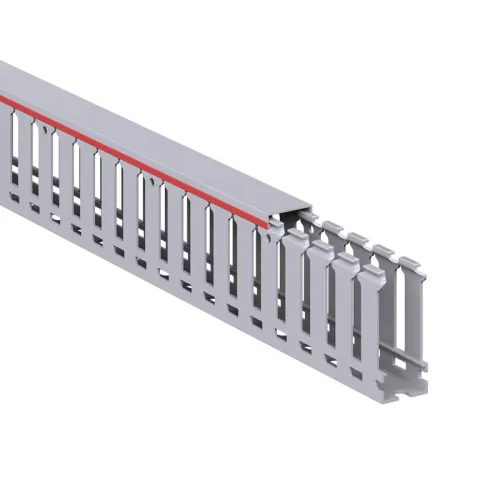 Кабель-канал перфорированный 25х60 L2000 RL12 G DKC 00136RL фото 2