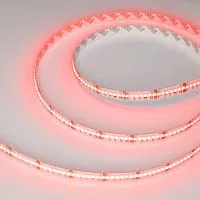 Лента светодиодная CSP-X840-12mm 24V RGBW-White 17.2Вт/м IP20 (уп.5м) Arlight 046935