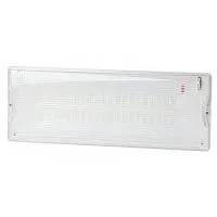 Светильник светодиодный DPA-301-1-65 IP65 40LED 3ч аварийный постоянный Эра Б0051843