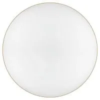 Светильник светодиодный Relict 48 Pult SPB-6-60-RC MG 60Вт 3000-6500К потолочный с ДУ золото ЭРА Б0059498