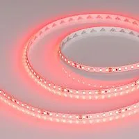 Лента светодиодная RT-A120-8mm 24V Red 9.6Вт/м IP20 2835 (уп.5м) Arlight 008781(2)