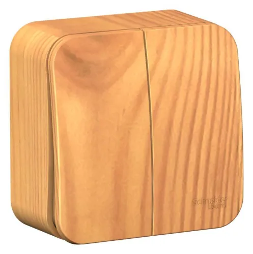 Выключатель 2-кл. ОП Blanca 10А IP20 (сх. 5) 250В с изолир. пластиной ясень SE BLNVA105015 фото 2