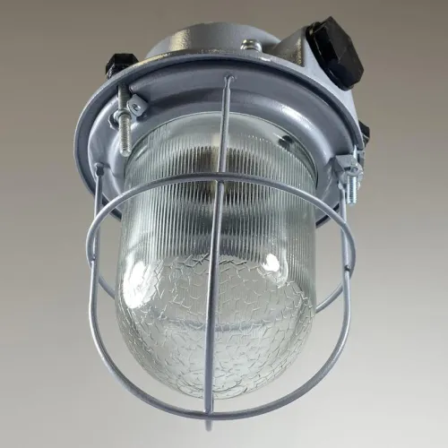 Светильник НСР 01-100-02 "Шахтер" IP54 корпус алюминиевый литой с решеткой Элетех 1005600003 фото 3