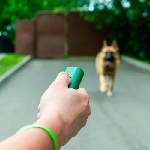 Отпугиватель/тренер собак ультразвуковой Rexant 71-0069 фото 2