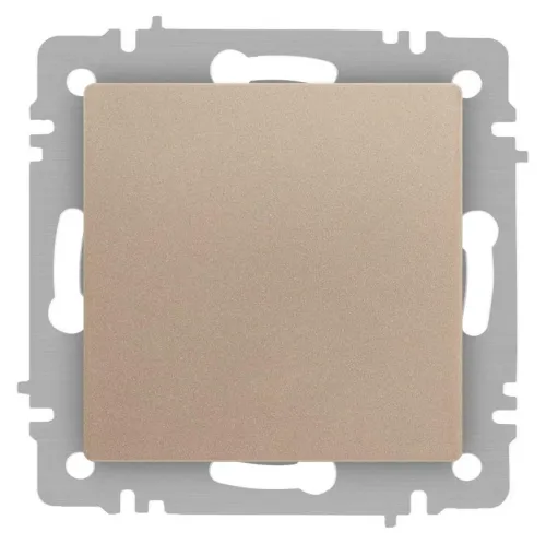 Выключатель 1-кл. СП Accent 6-101-04 10А IP20 250В AL/CU шампань Intro Б0063464