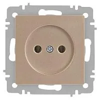 Розетка 1-м СП Accent 6-201-04 16А IP20 250В 2P шампань Intro Б0063663