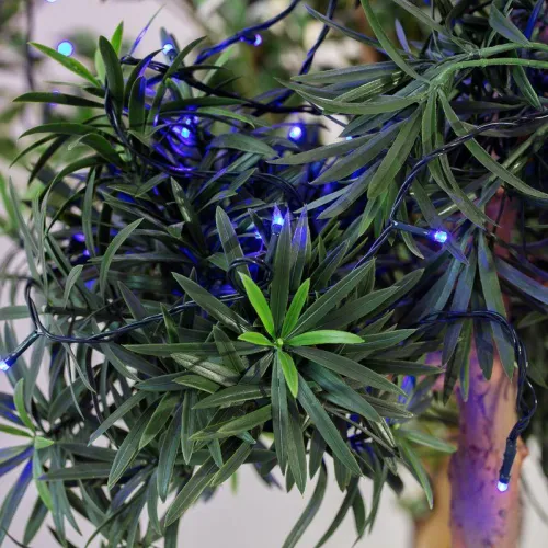 Гирлянда светодиодная "Твинкл Лайт" 10м 80LED син. 5.7Вт 220-240В IP20 с контроллером 8 режимов провод ПВХ темн. зел. Neon-Night 303-043 фото 3