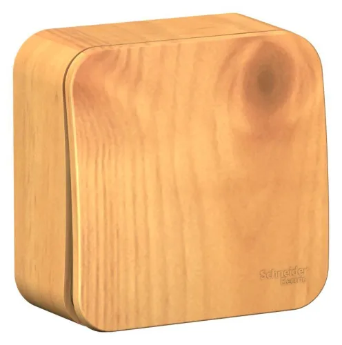 Выключатель 1-кл. ОП Blanca 10А IP20 (сх. 1) 250В с изолир. пластиной ясень SE BLNVA101015 фото 2