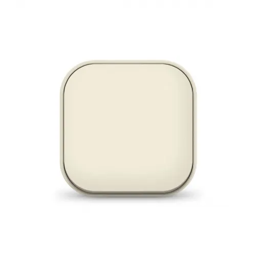 Выключатель 1-кл. 1п ОП 10А IP20 сл. кость IONICH 1423