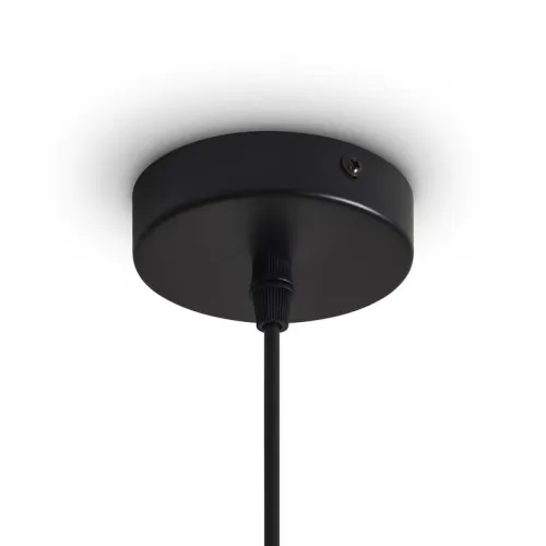 Светильник Topi 40Вт E27х1 IP20 подвесной Freya FR5503PL-01B1 фото 5