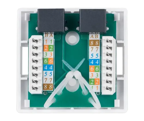 Розетка компьютерная 2-м ОП WS-8P8C-Cat.5e-2 RJ45 кат.5E Dual IDC Cabeus 7247c фото 2