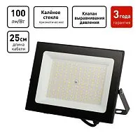 Прожектор светодиодный PRO LPR-062-0-65K-100 100Вт 10000лм 6500К IP65 призма Эра Б0064701