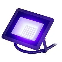 Прожектор светодиодный уличный LPR-025-BLUE-030 30Вт син. свечение 330лм IP65 Эра Б0064716