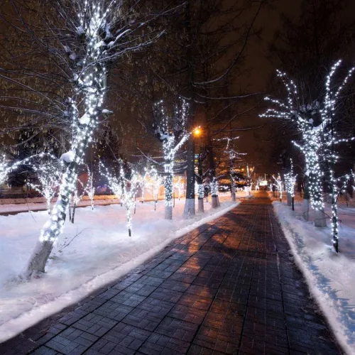 Гирлянда светодиодная "LED ClipLight" шаг 15см 665LED бел. 80Вт 12В IP65 эффект мерцания flashing бел.; провод ПВХ прозр. (уп.100м) Neon-Night 325-165 фото 5