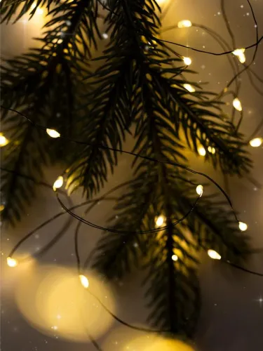 Гирлянда "Роса" DC-G06-120Y 120 microLED 12.1м. 8реж. 3хAA желт. ФАZА 5059634 фото 7