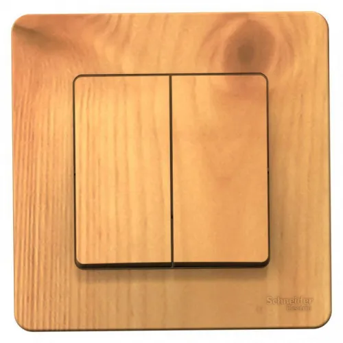 Выключатель 2-кл. СП Blanca 10А IP20 (сх. 5) 250В ясень SE BLNVS010505 фото 3