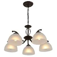 Люстра Jackeline 9141-305 5хE27 40Вт классика Rivoli Б0054758